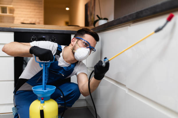 Best Best Pest Control Companies  in Brookside, NJ