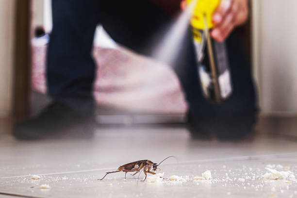 Wildlife Control Services in Brookside, NJ
