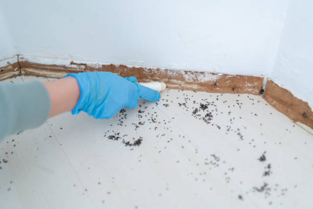 Best Pest Control for Restaurants  in Brookside, NJ